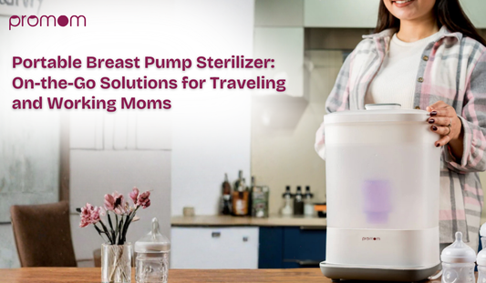 Portable Breast Pump Sterilizer: On-the-Go Solutions for Traveling and Working Moms