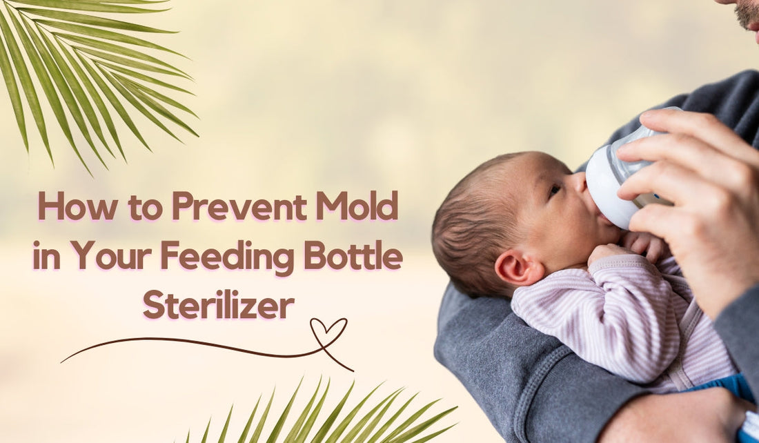 How to Prevent Mold in Your Feeding Bottle Sterilizer?