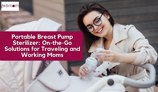 Portable Breast Pump Sterilizer: On-the-Go Solutions for Traveling and Working Moms