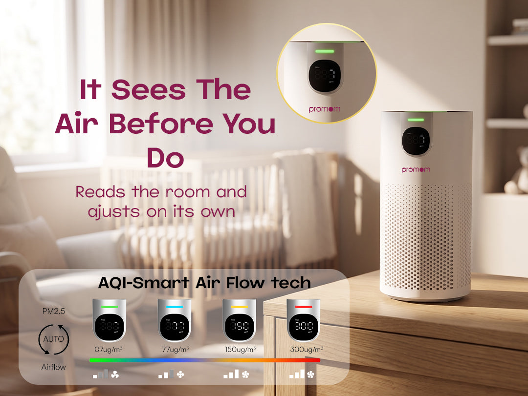 Promom PureNest Air Purifier – feature 2 (desktop)
