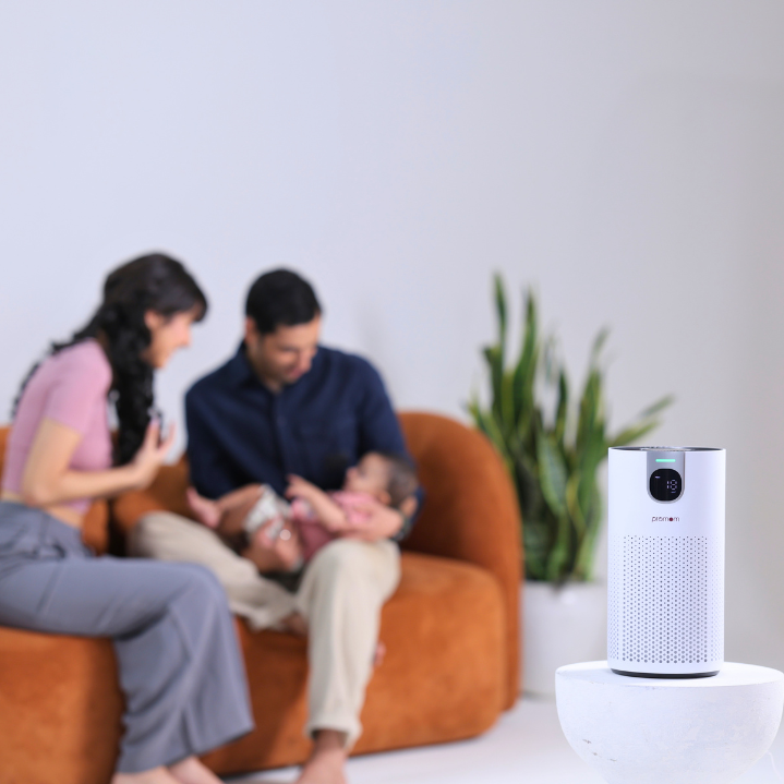 Promom PureNest Air Purifier — It Watches the Air So You Don't Have To